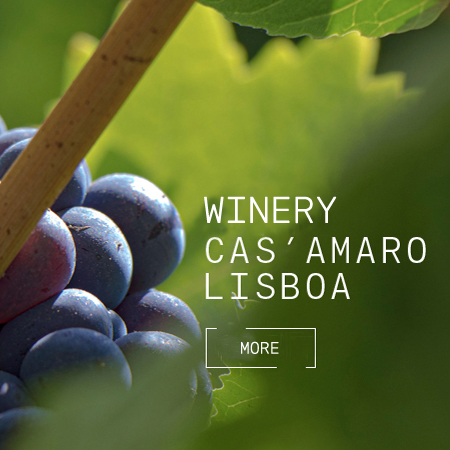 Cas'Amaro